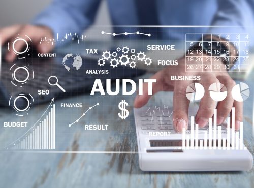 human using calculator audit business charts with words scaled