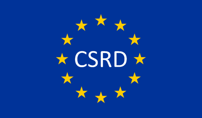 CSRD Graphic 5 768x384 1