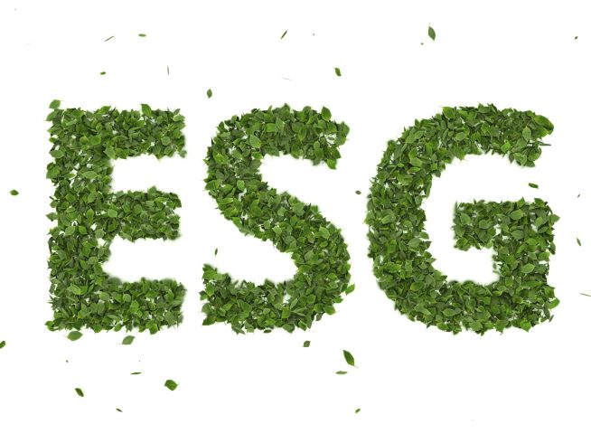 abstract 3d leaves forming esg text symbol white background creative eco environment investment fund 2021 future green energy innovation business trend