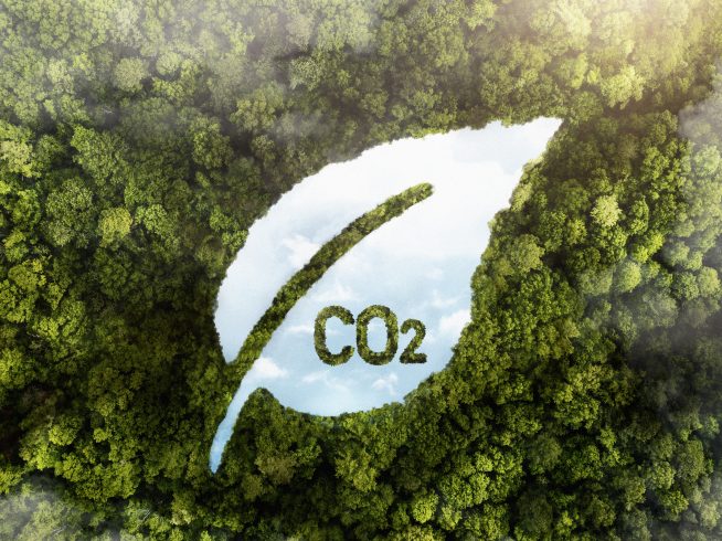 view green forest trees with co2 1