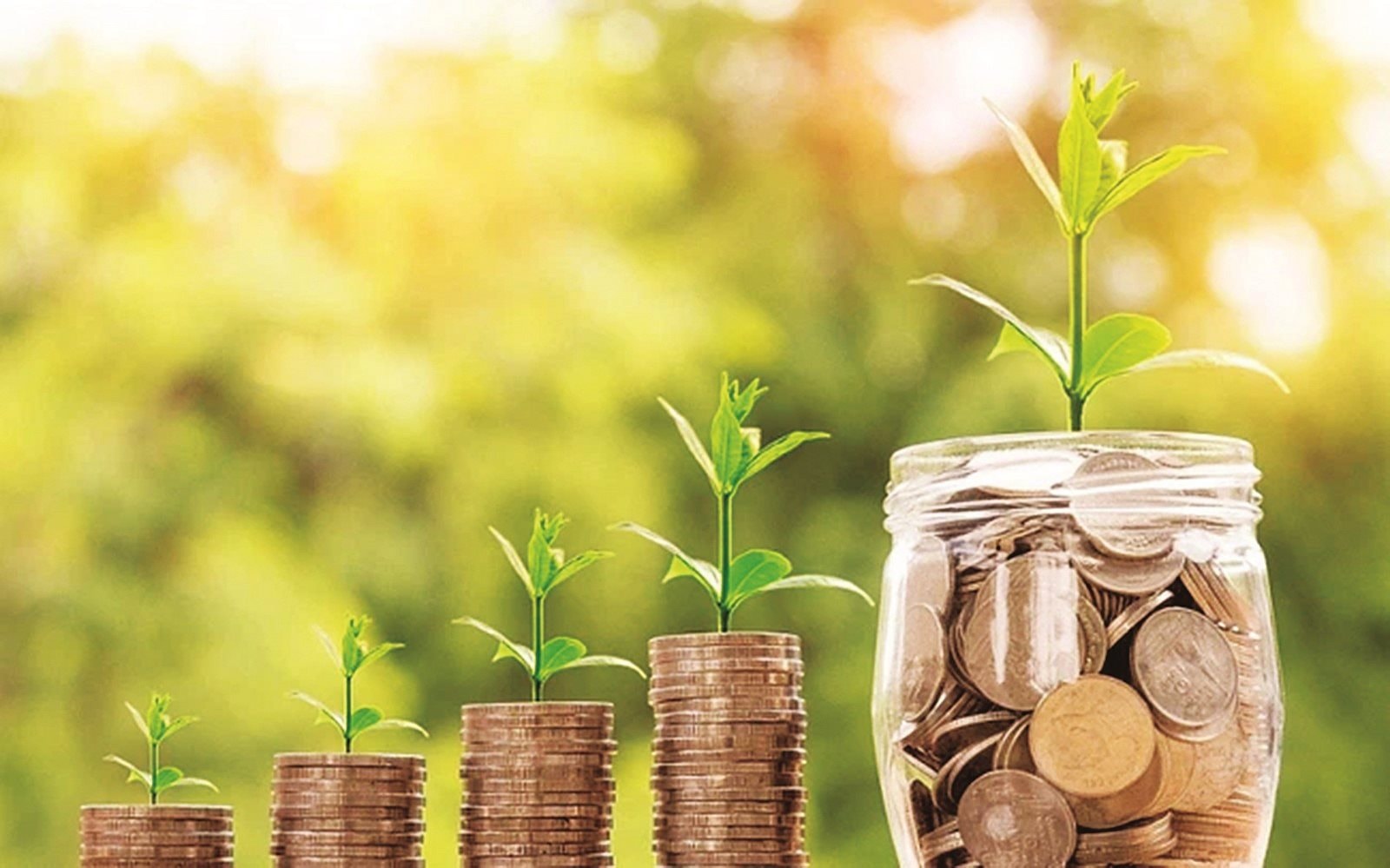 tin dung xanh tai cac nuoc tren the gioi 153057