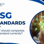 What are esg standards