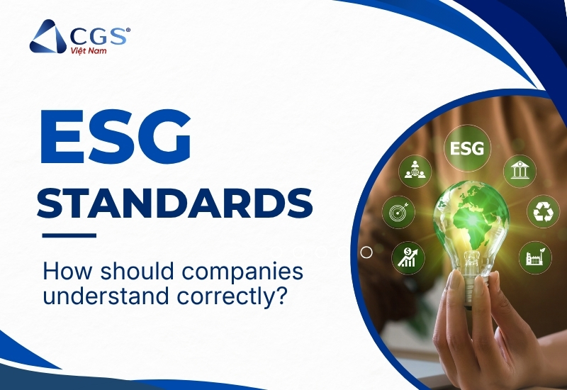 What are esg standards