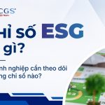 Chỉ số ESG là gì? Doanh nghiệp cần theo dõi những chỉ số nào?