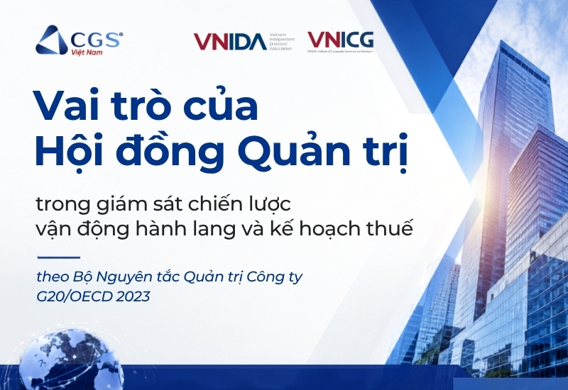 Vai trò của HĐQT trong giám sát chiến lược vận động hành lang và kế hoạch thuế