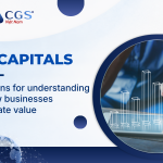 Six Capitals: A Lens for Understanding How Businesses Create Value
