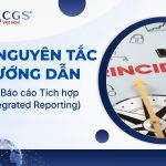 7 nguyên tắc hướng dẫn của báo cáo tích hợp Integrated Reporting