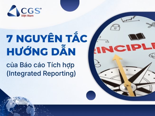 7 nguyên tắc hướng dẫn của báo cáo tích hợp Integrated Reporting