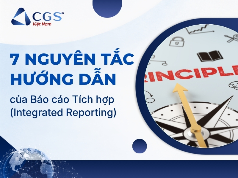 7 nguyên tắc hướng dẫn của báo cáo tích hợp Integrated Reporting
