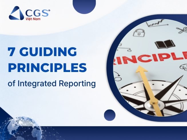 7 guiding principles of integrated reporting