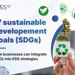 17 sustainable development goals