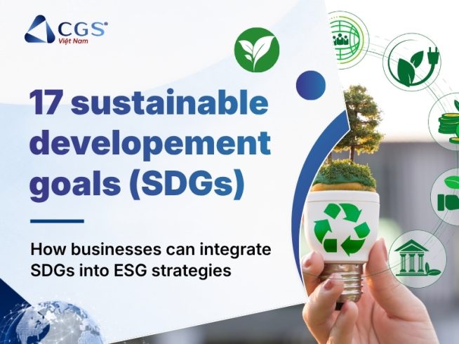 17 sustainable development goals