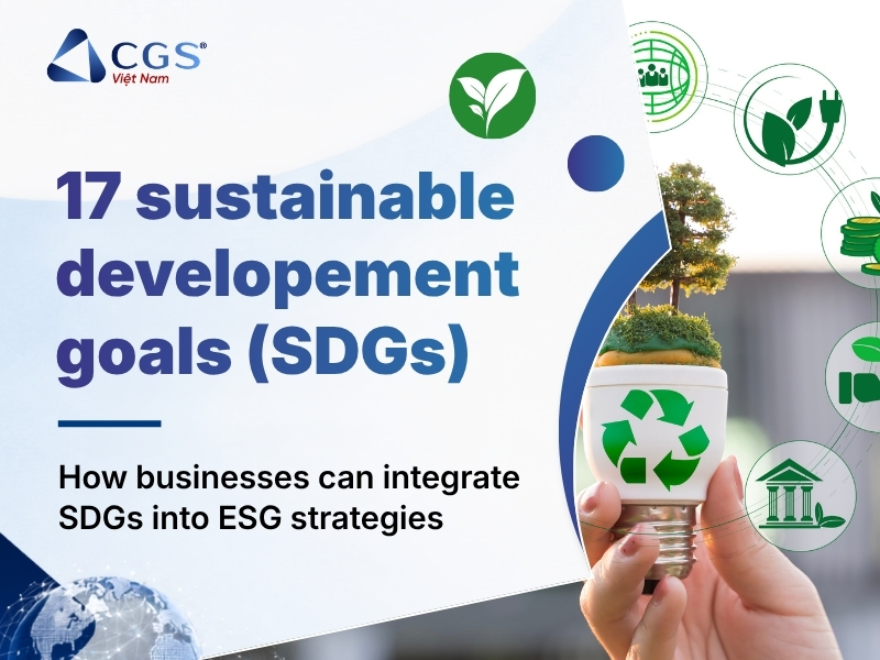 17 sustainable development goals