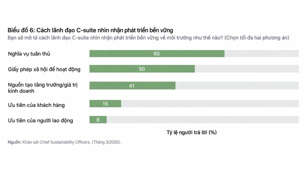 cách các lãnh đạo phát triển bền vững CSO nhìn nhận PTBV