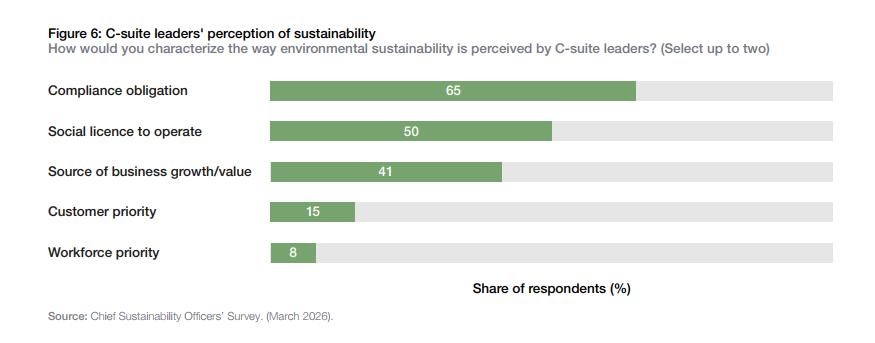C-suite leaders' perception of sustainability